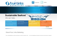 Website Design